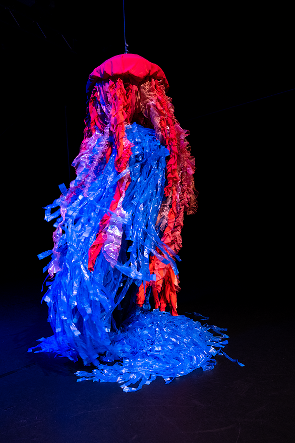 Oddli Andersfisch Qualle Logo